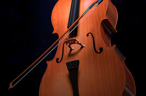 Audition violoncelle